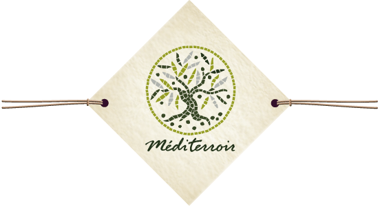 Logo Mediterroir - Producteur huile d'olive bio