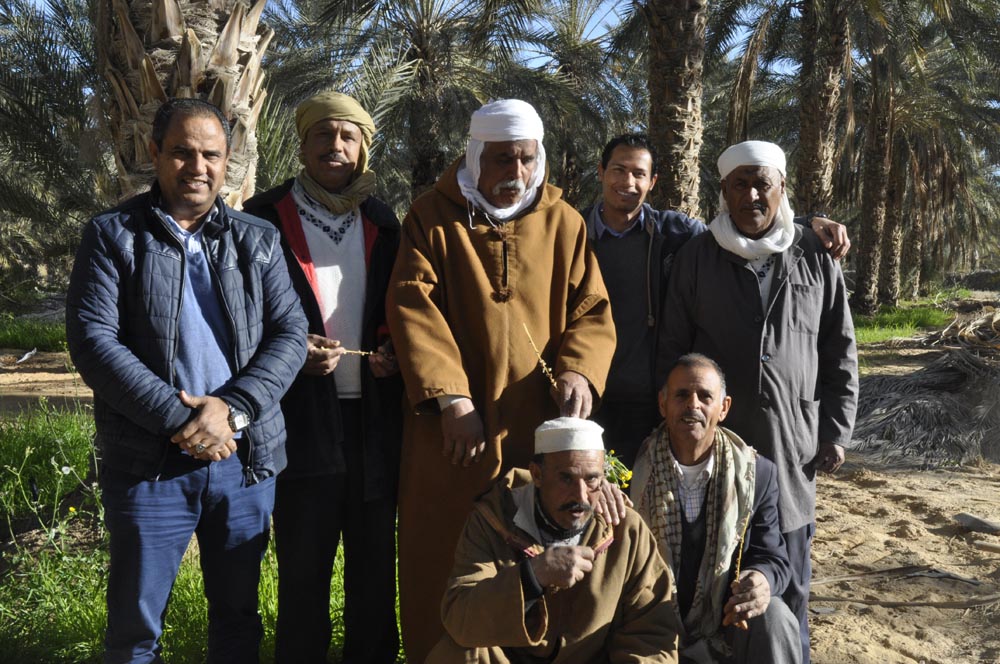 Groupe-producteurs-dattes-tunisie_DSC1279 Groupe-producteurs-dattes-tunisie_DSC1279